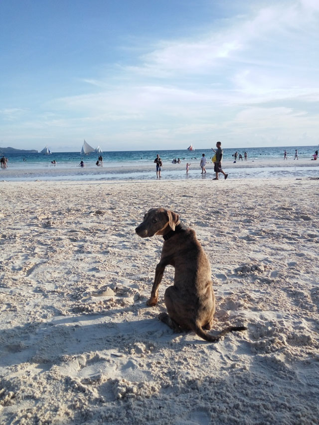 thumb_IMG_20170611_172635_1024