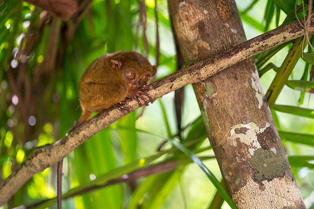 20229844_1533676619986186_4931546023614303590_o