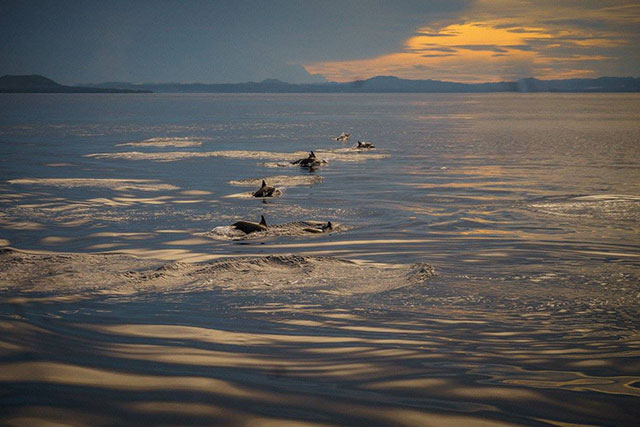 20287185_1543691485651366_1828036243097764725_o