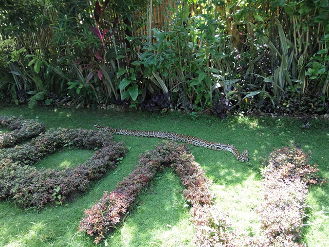 thumb_IMG_20170713_102022_1024