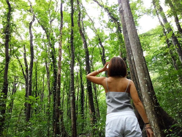 thumb_IMG_20170713_131540_1024