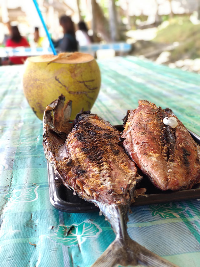 2018-Samal-Island-Davao-Micki-Josue-Pocholo-Perreras-Beach-Travel-Philippines-17