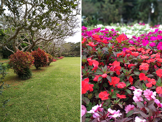 2018-Star-Cruises-Superstar-Virgo-Japan-Miyakojima-Taiwan-Keelung-cruise-Micki-Josue-22