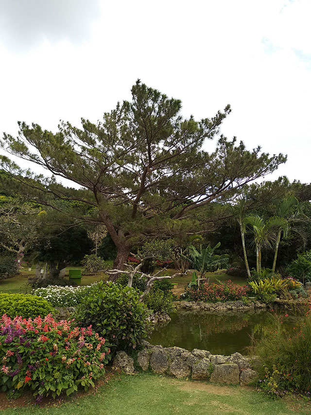 2018-Star-Cruises-Superstar-Virgo-Japan-Miyakojima-Taiwan-Keelung-cruise-Micki-Josue-23