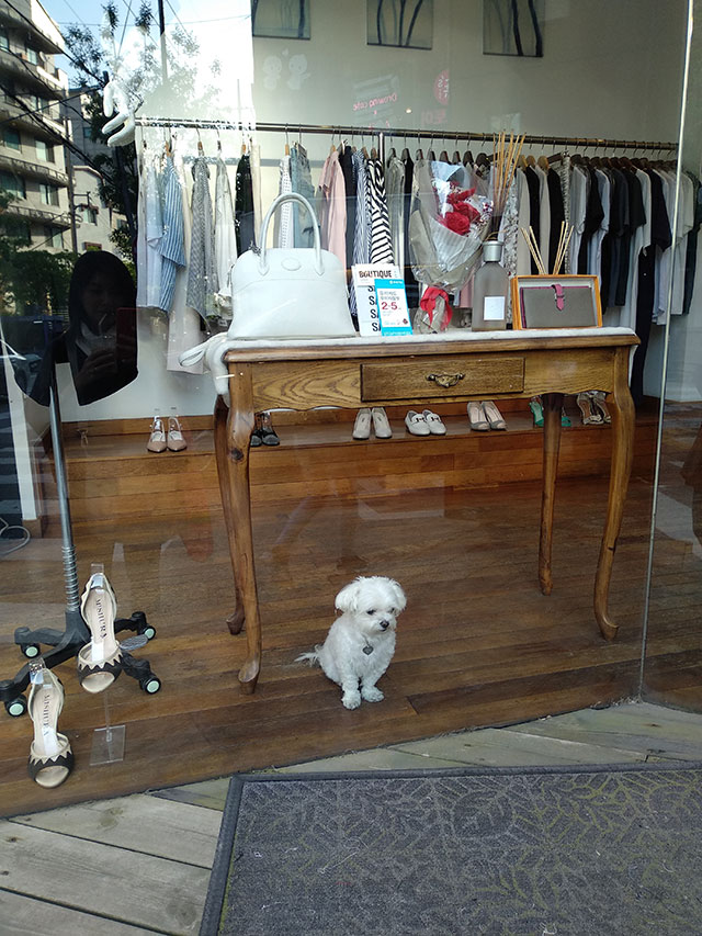 Korea-2018-Seul-Myeongdong-Hongdae-Dongdaemun-Palace-08