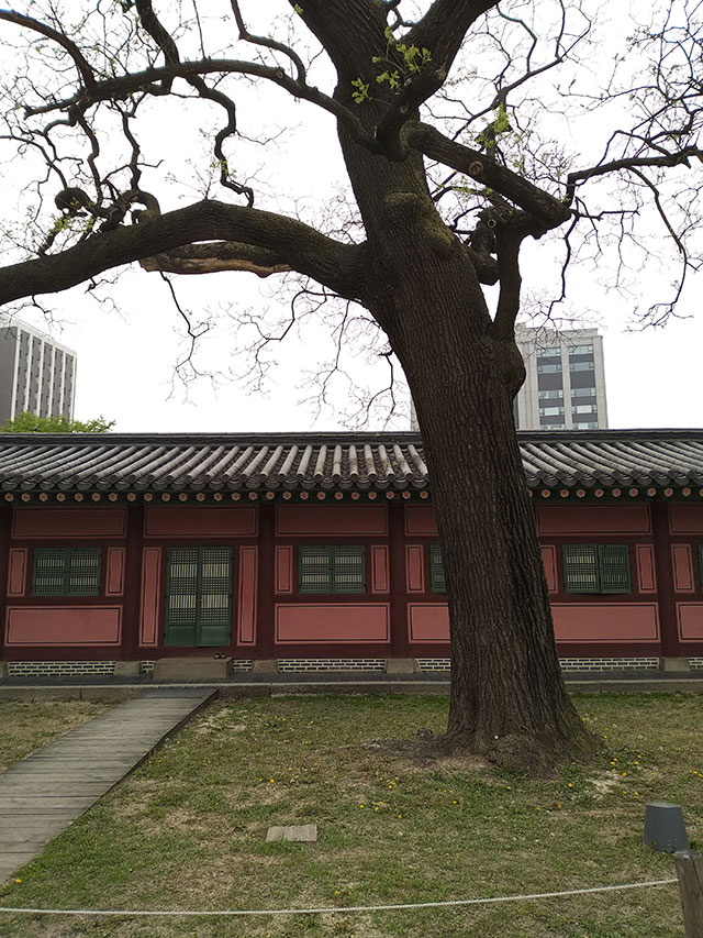 Korea-2018-Seul-Myeongdong-Hongdae-Dongdaemun-Palace-38