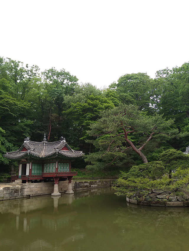 Korea-2018-Seul-Myeongdong-Hongdae-Dongdaemun-Palace-42