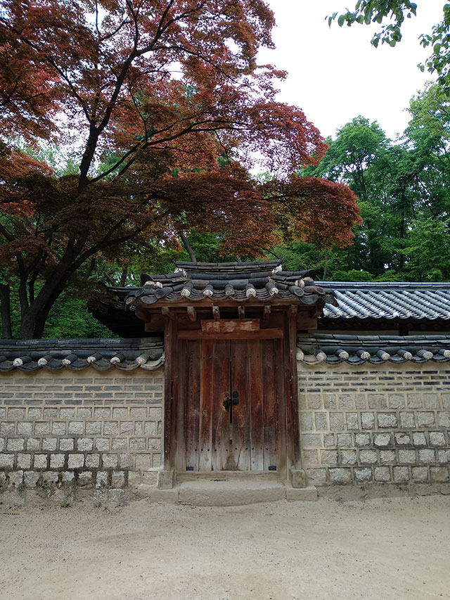 Korea-2018-Seul-Myeongdong-Hongdae-Dongdaemun-Palace-46