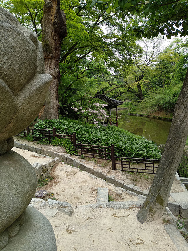 Korea-2018-Seul-Myeongdong-Hongdae-Dongdaemun-Palace-47