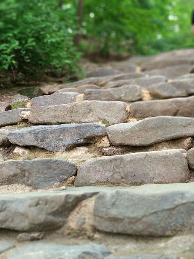 Korea-2018-Seul-Myeongdong-Hongdae-Dongdaemun-Palace-49