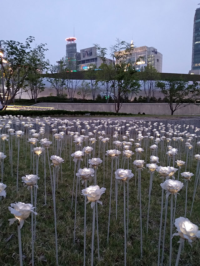 Korea-2018-Seul-Myeongdong-Hongdae-Dongdaemun-Palace-51