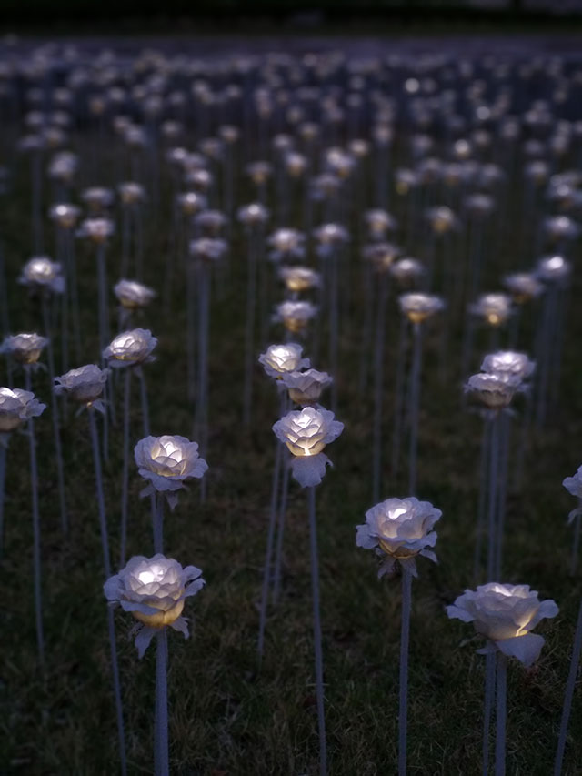 Korea-2018-Seul-Myeongdong-Hongdae-Dongdaemun-Palace-56