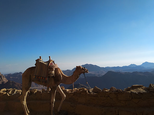 Micki-Josue-Holy-Land-Tour-Jordan-Israel-Egypt-115