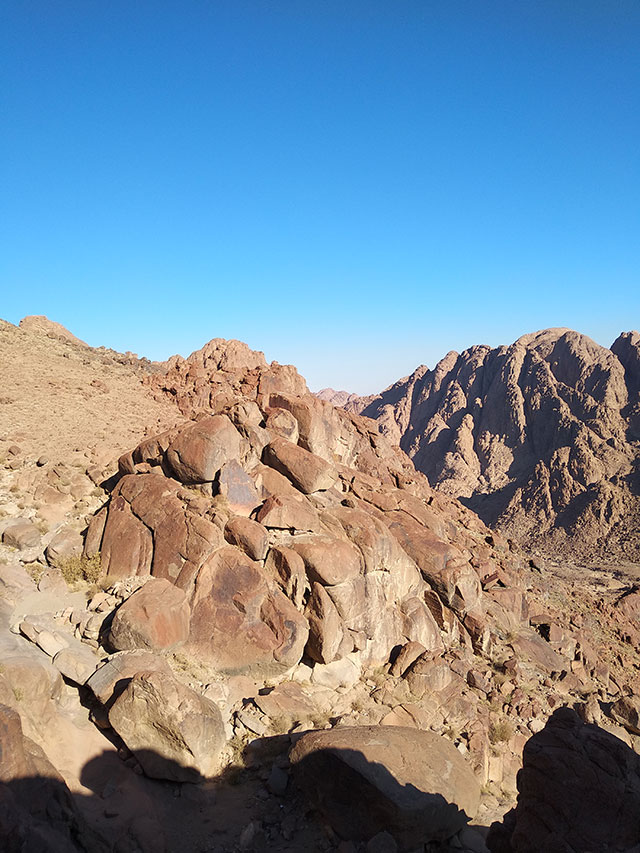 Micki-Josue-Holy-Land-Tour-Jordan-Israel-Egypt-120