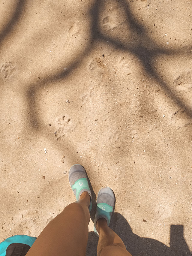 2019-Coron-Palawan-Micki-Josue-Beach-Philippines-Travel-Blog-15