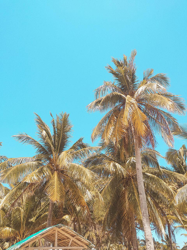 2019-Coron-Palawan-Micki-Josue-Beach-Philippines-Travel-Blog-48